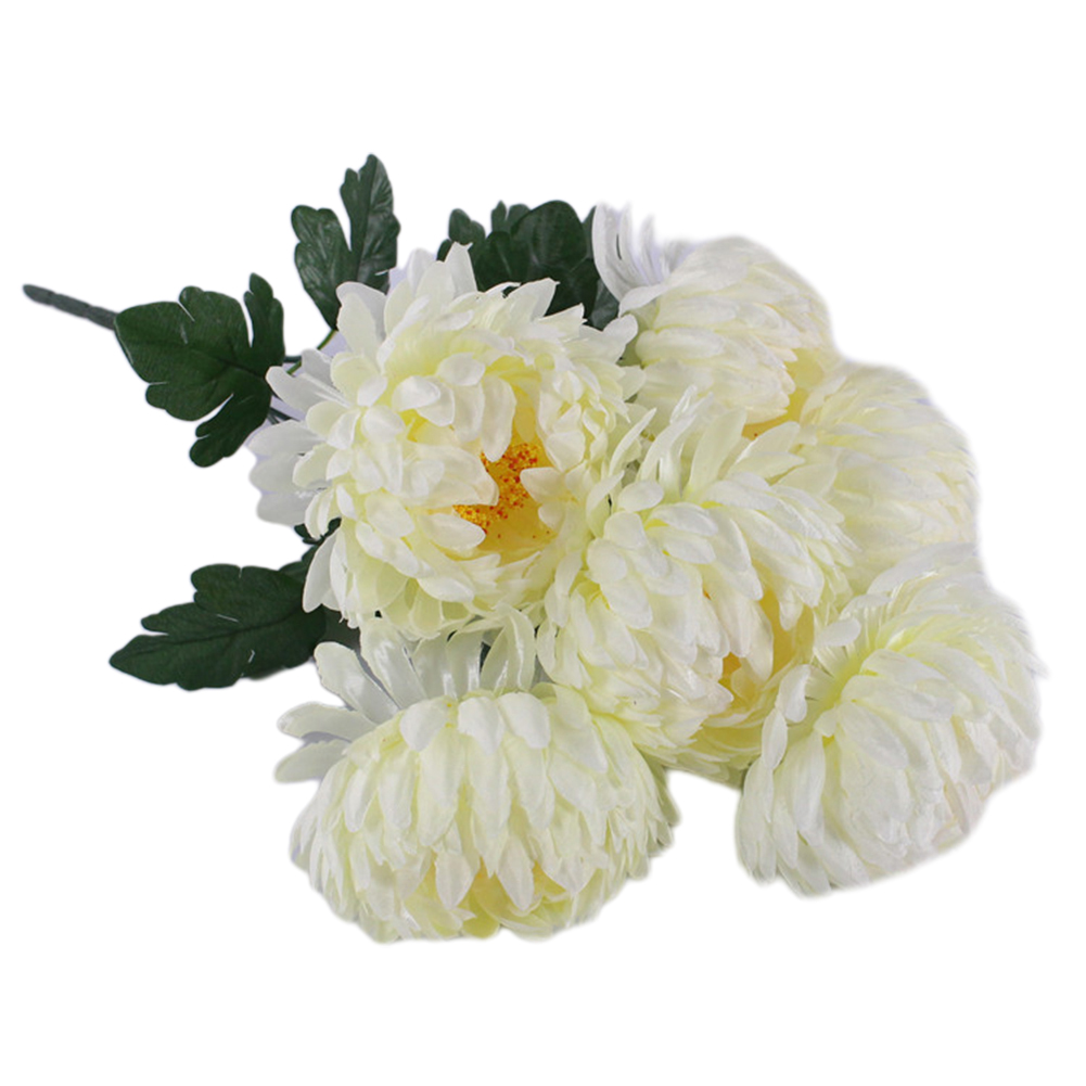 صدق ملاحظات التضحية نبات اصطنا - مراجعة Home Decor Website Free وسعره