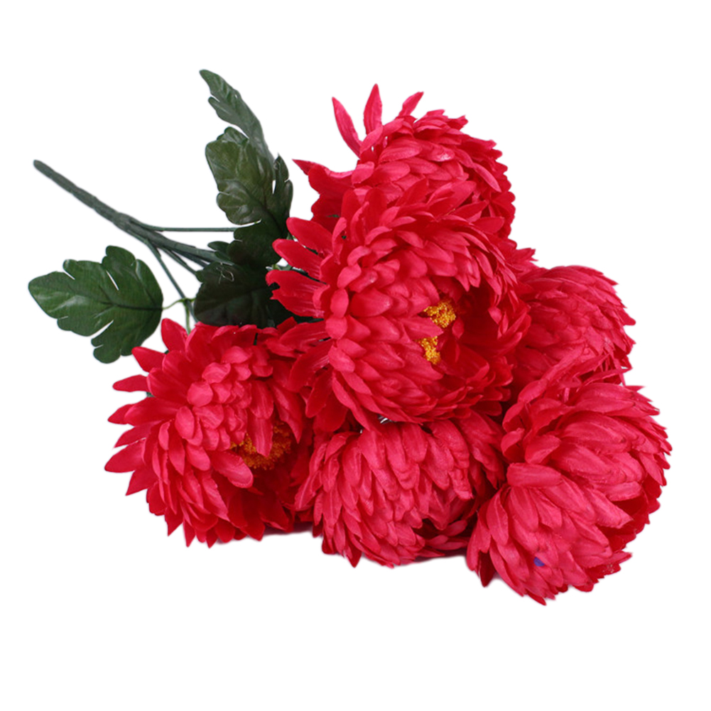 صدق ملاحظات التضحية نبات اصطنا - مراجعة Home Decor Website Free وسعره